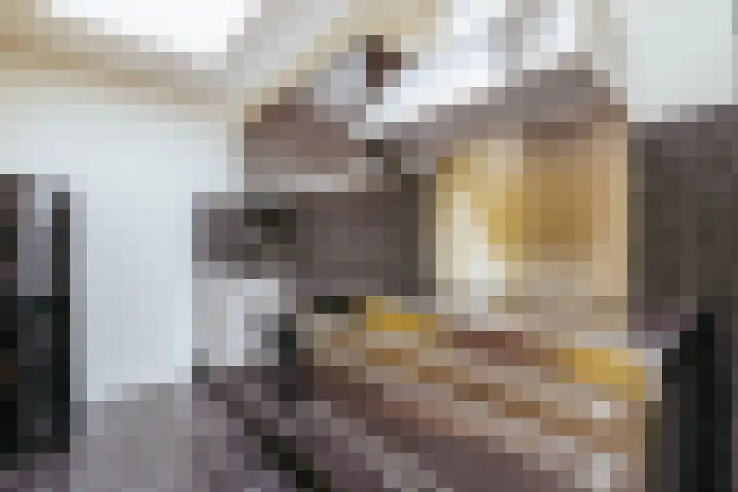 Herengracht 116 L Amsterdam thumbnail 14
