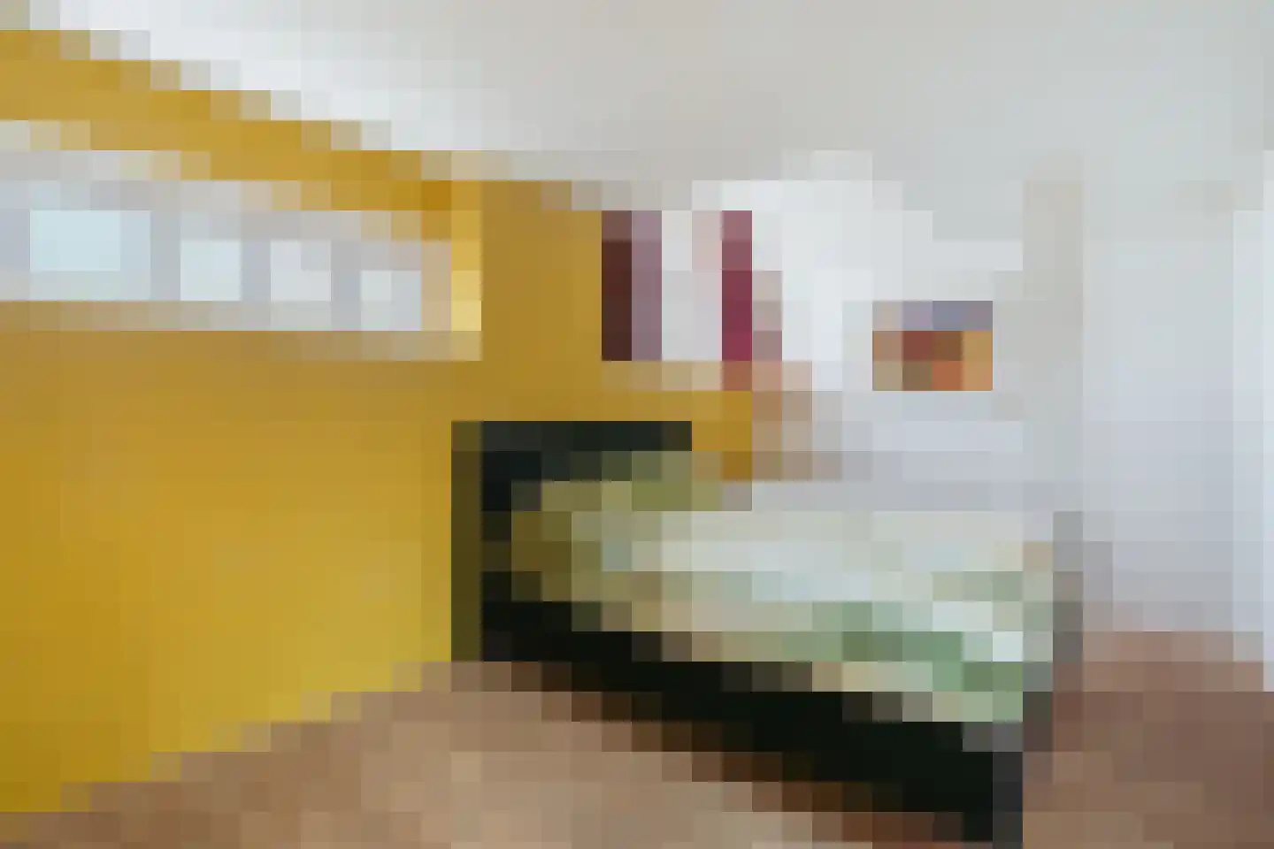 Herengracht 116 L Amsterdam thumbnail 26