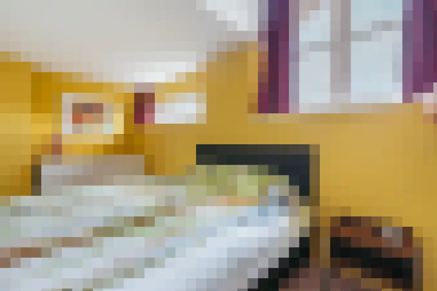 Herengracht 116 L Amsterdam thumbnail 27