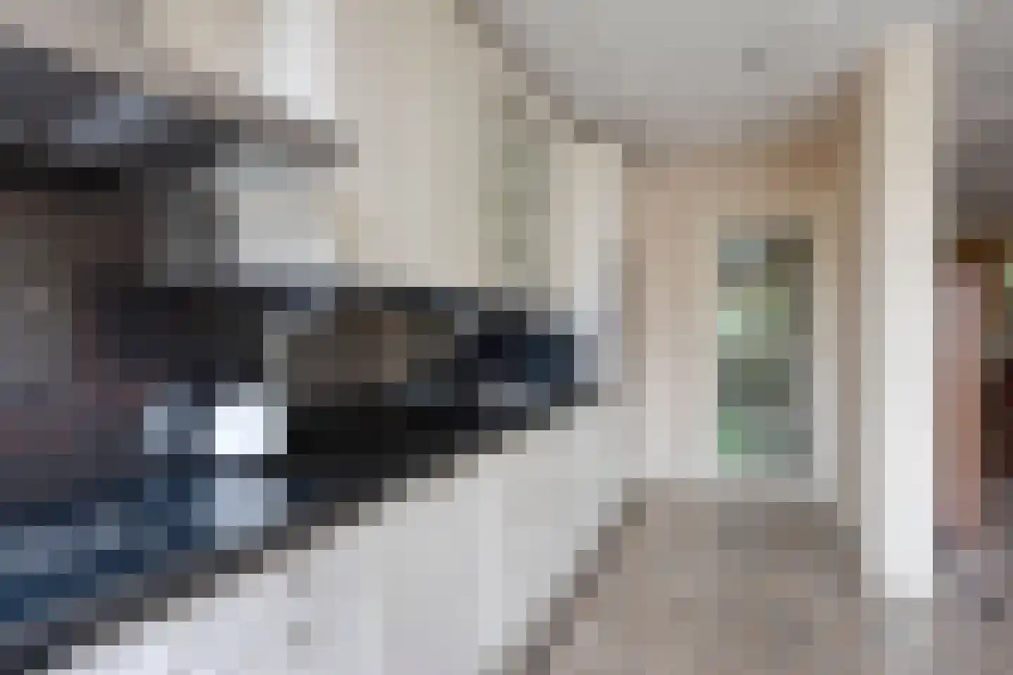 Herengracht 13 Purmerend thumbnail 19