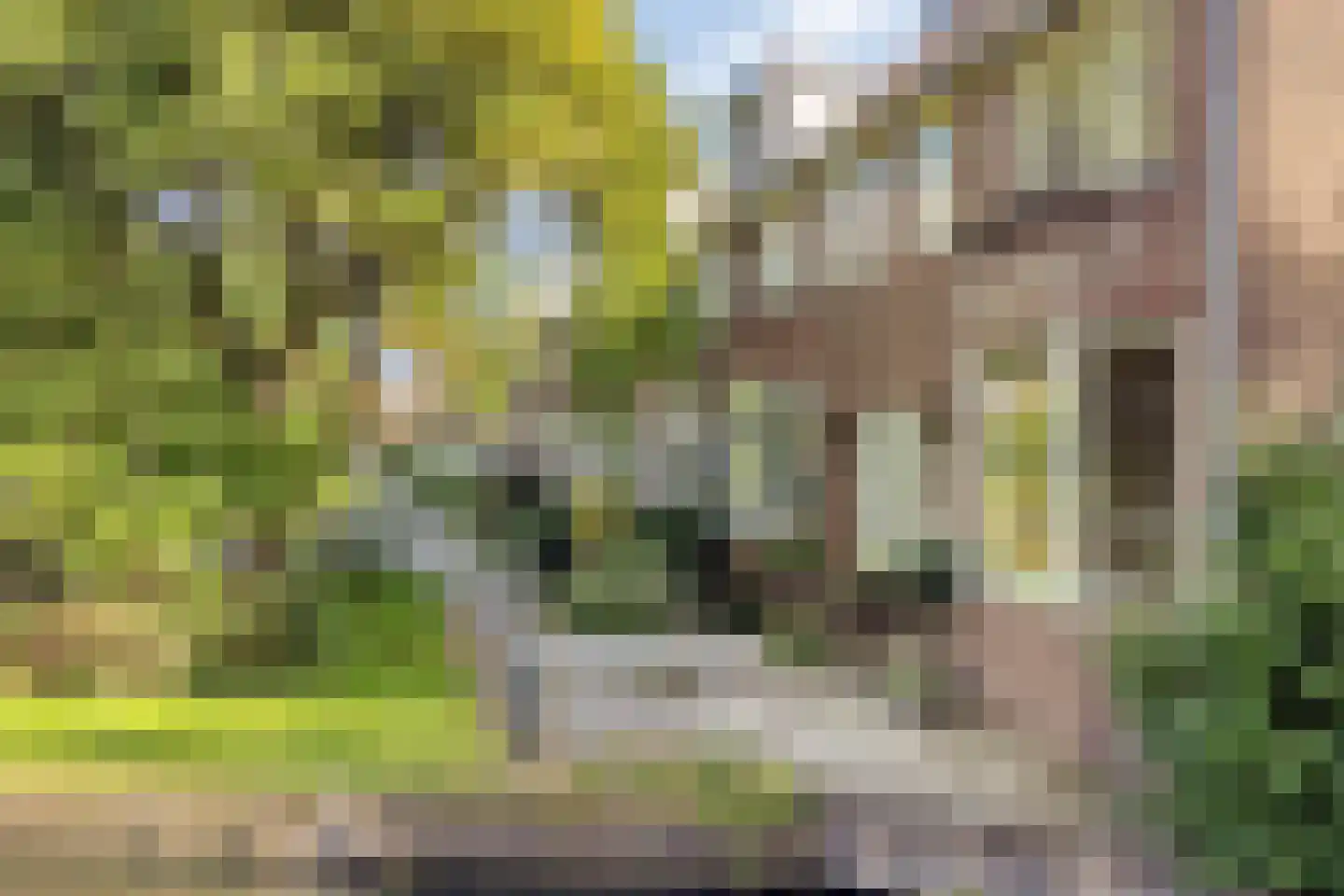 Herengracht 139 Zaandam thumbnail 50