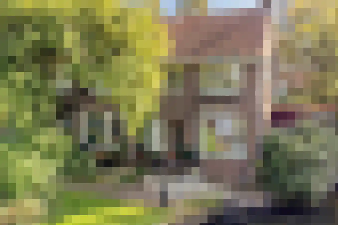Herengracht 139 Zaandam thumbnail 51