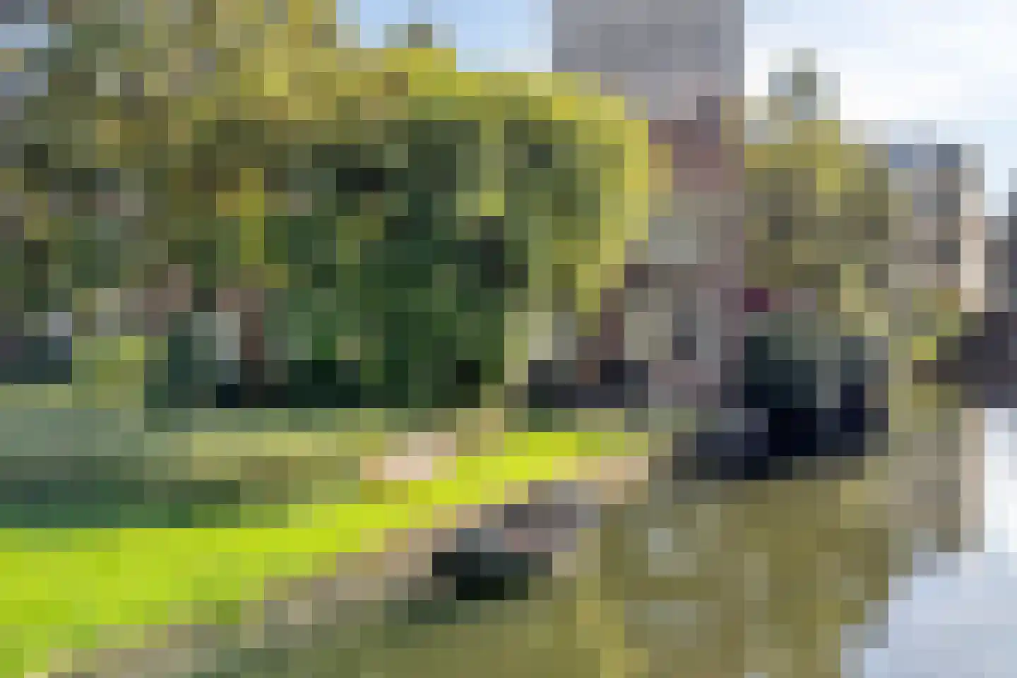 Herengracht 139 Zaandam thumbnail 52