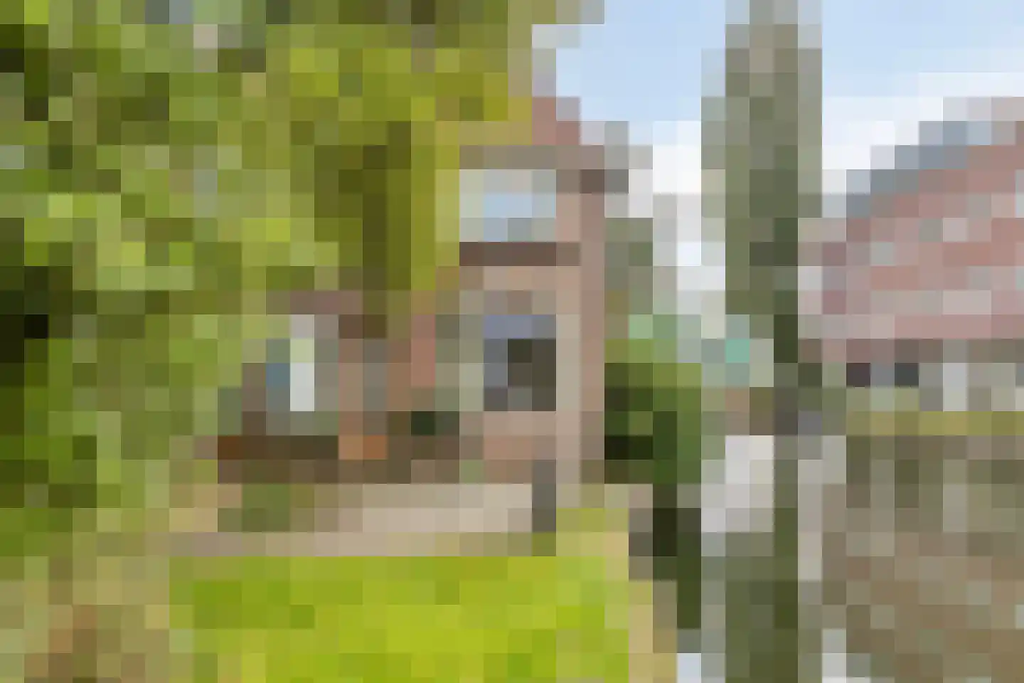 Herengracht 139 Zaandam thumbnail 6