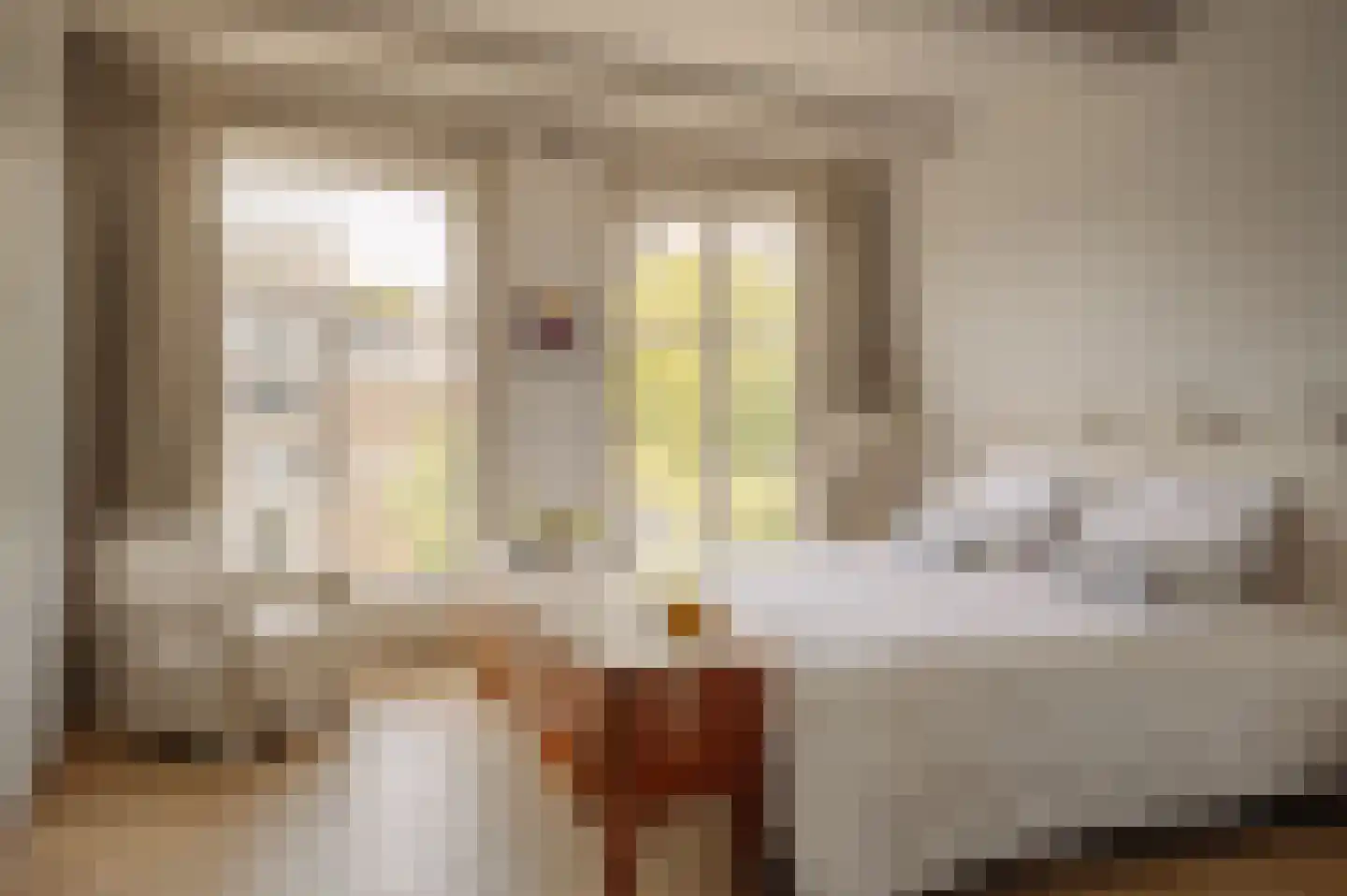 Herengracht 149 2 Amsterdam thumbnail 16