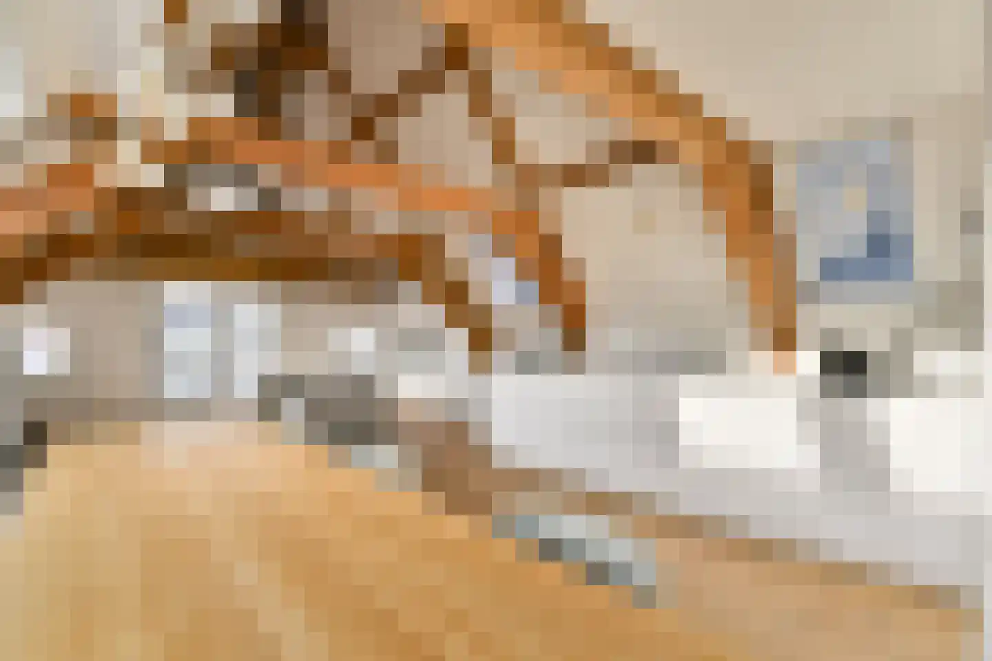 Herengracht 157 B Amsterdam thumbnail 9