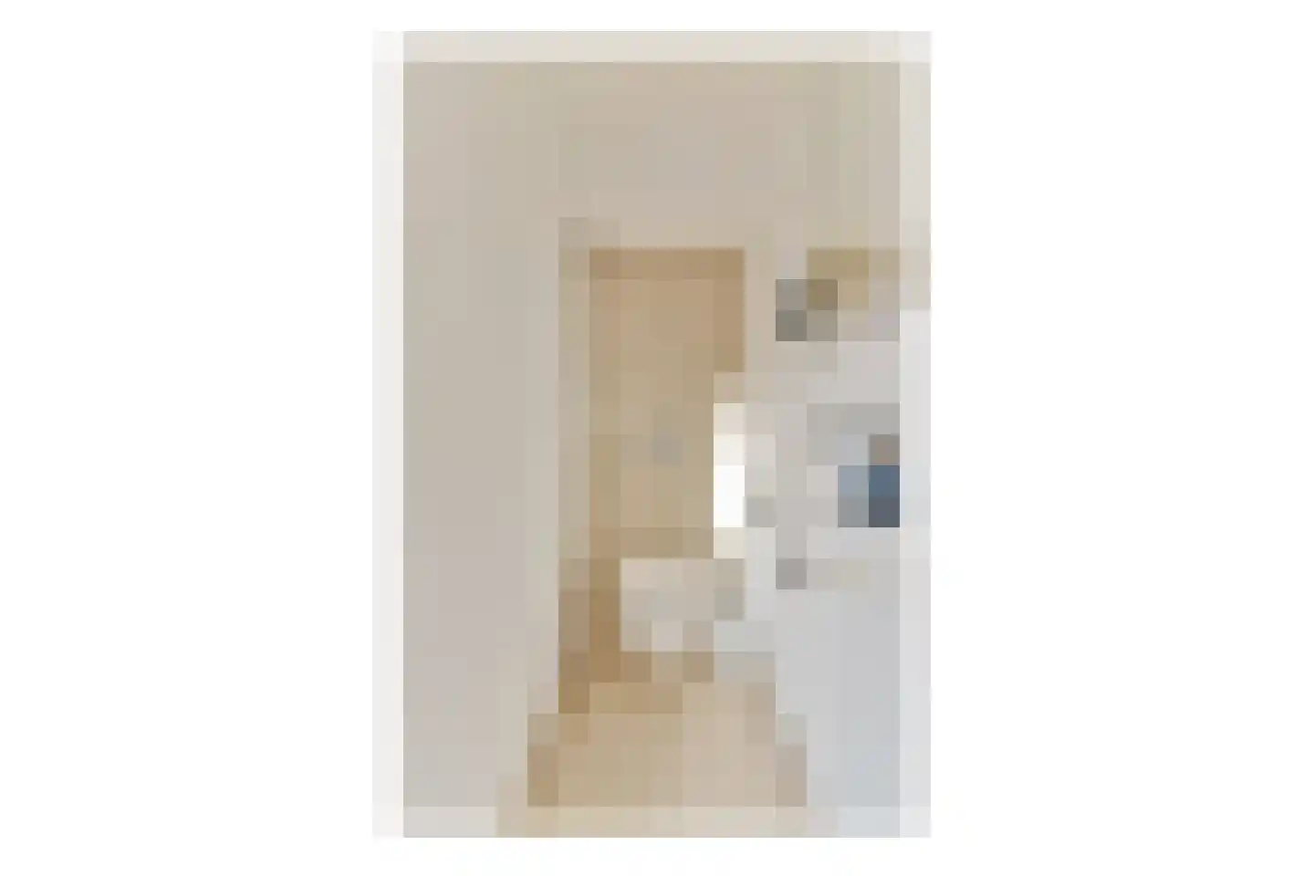Herengracht 157 D Amsterdam thumbnail 17