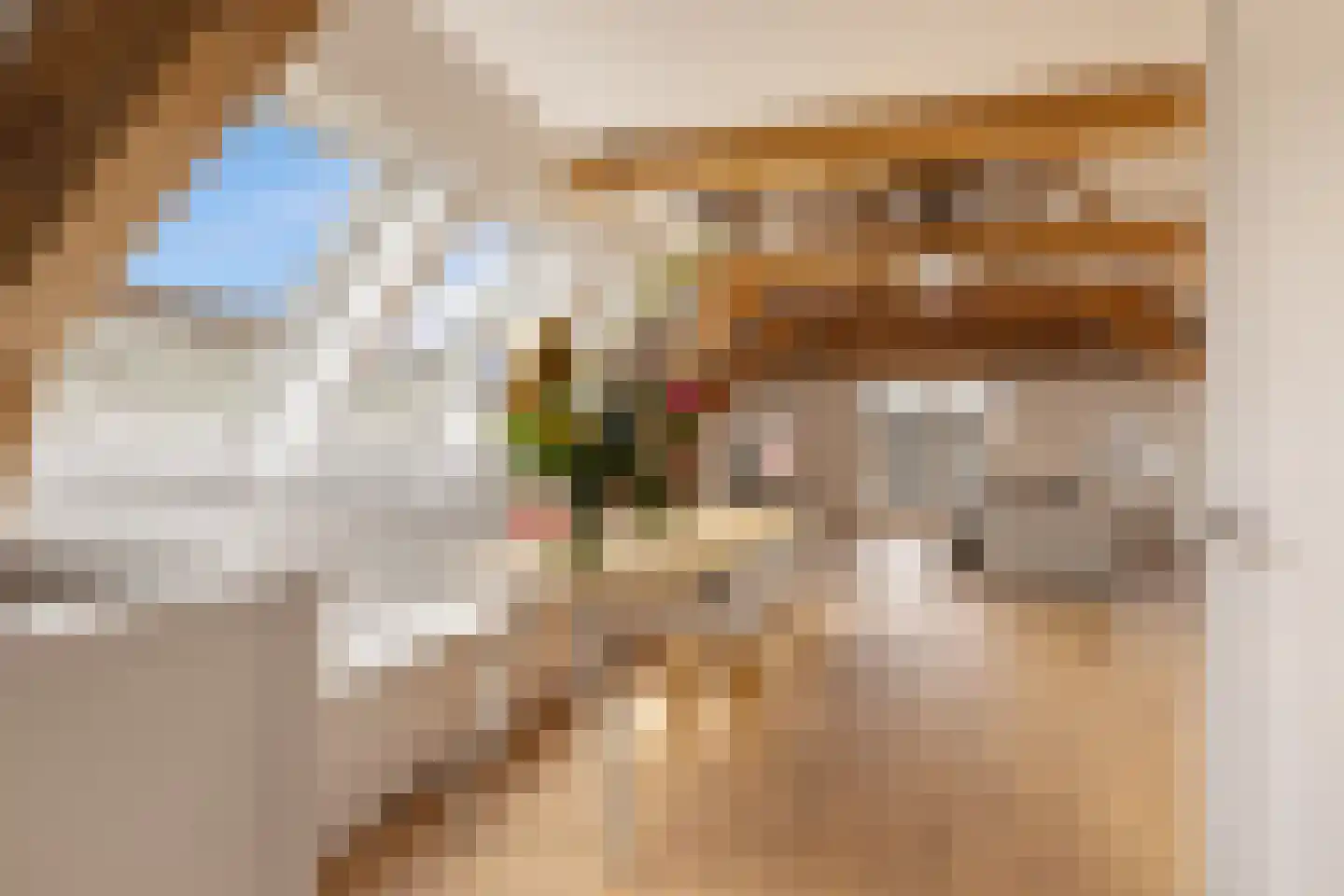 Herengracht 157 E Amsterdam thumbnail 7