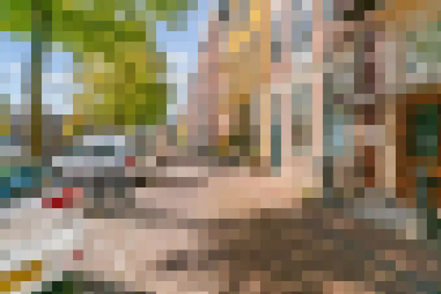 Herengracht 16 A Leiden thumbnail 31