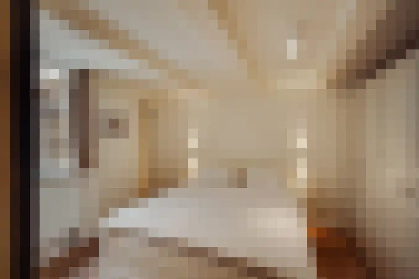 Herengracht 16 Amsterdam thumbnail 50