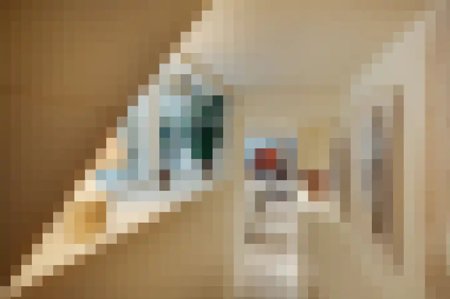 Herengracht 16 Amsterdam thumbnail 54
