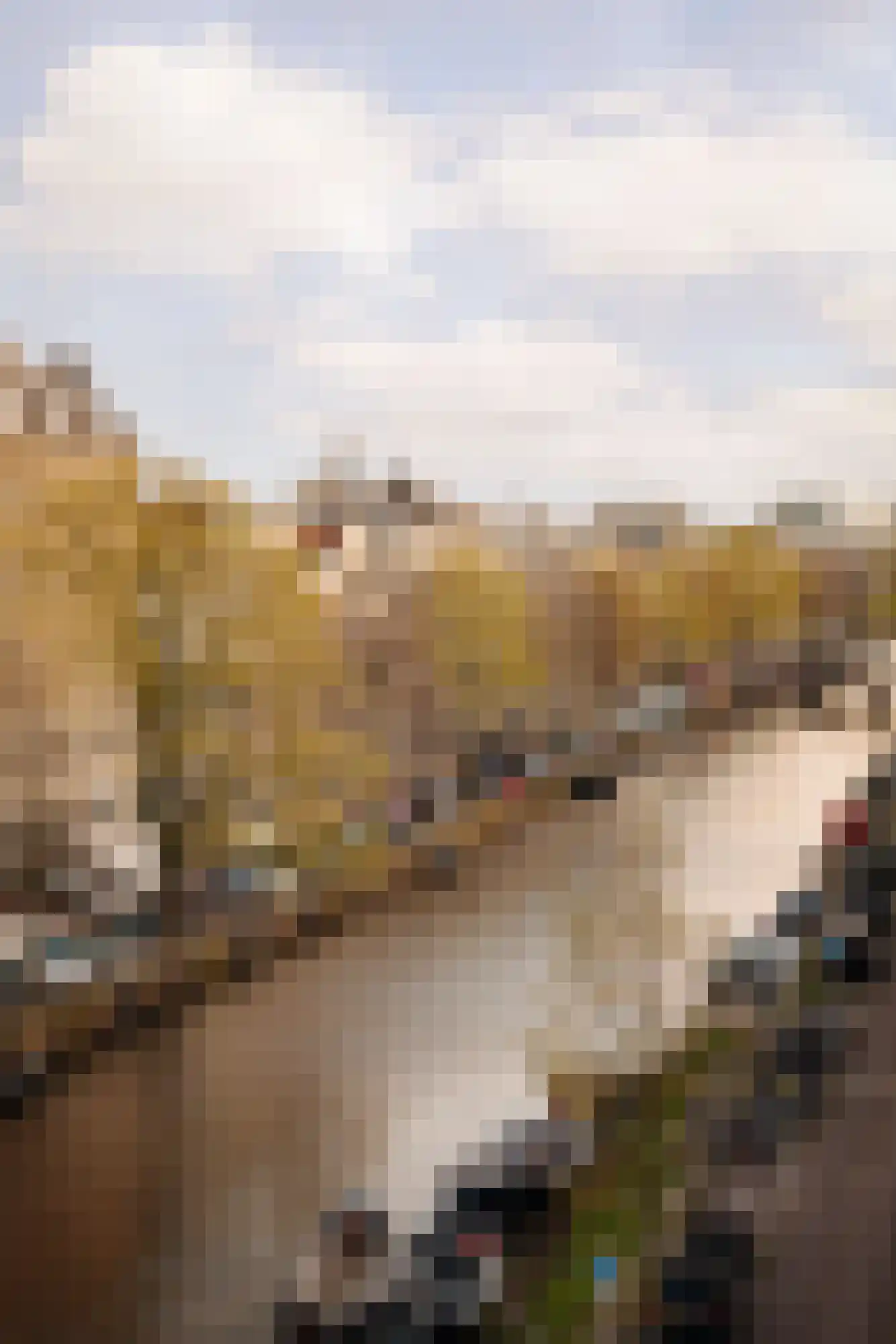 Herengracht 169 A Amsterdam thumbnail 25