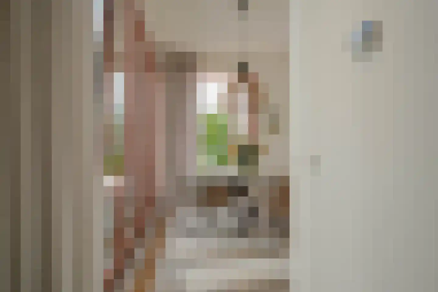 Herengracht 17 G Den Haag thumbnail 17