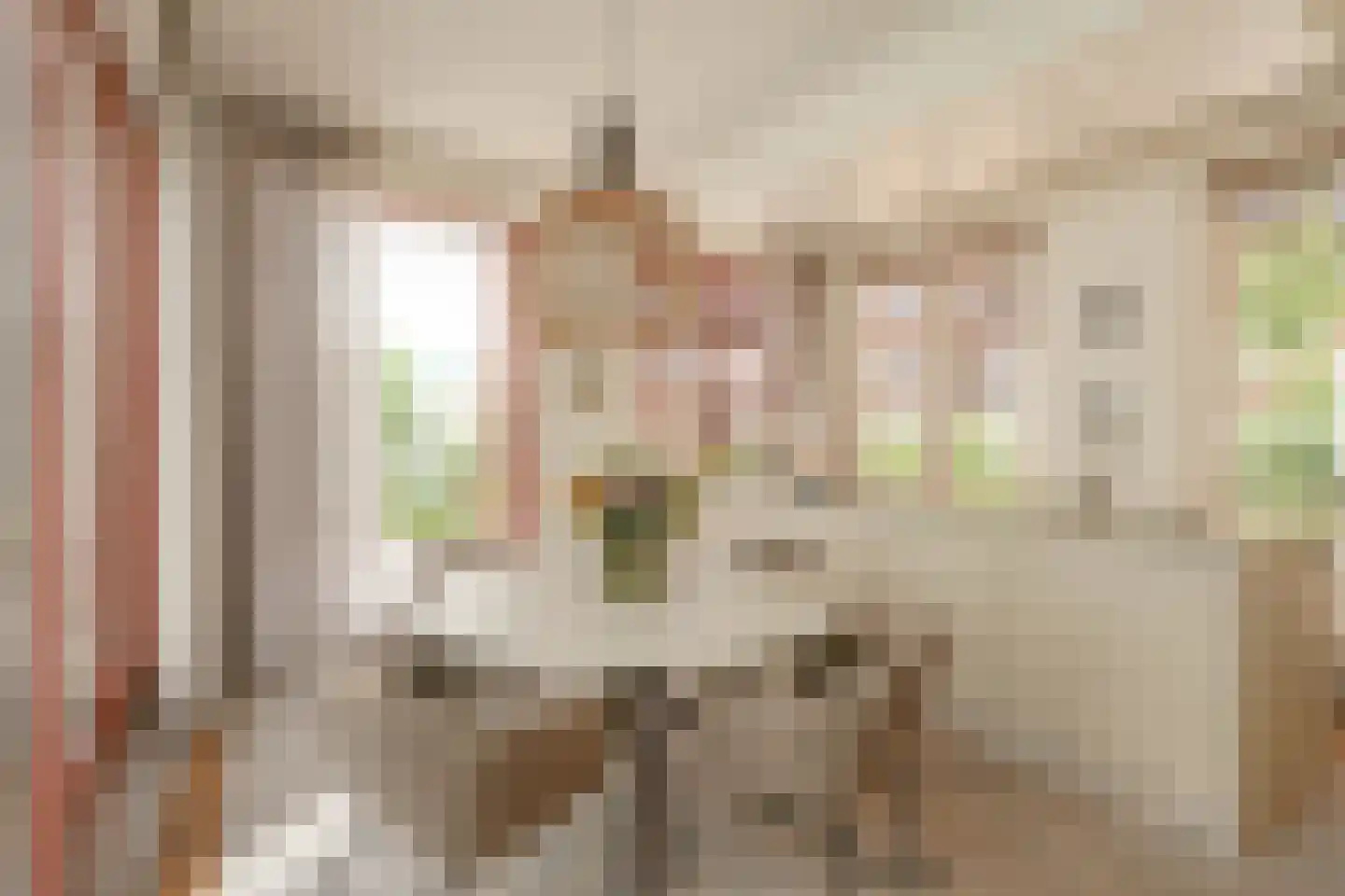 Herengracht 17 G Den Haag thumbnail 18