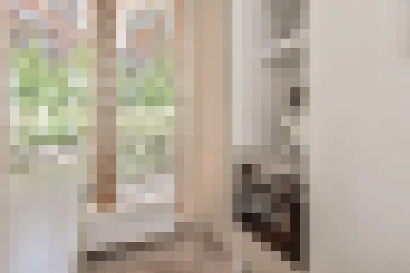 Herengracht 17 G Den Haag thumbnail 23