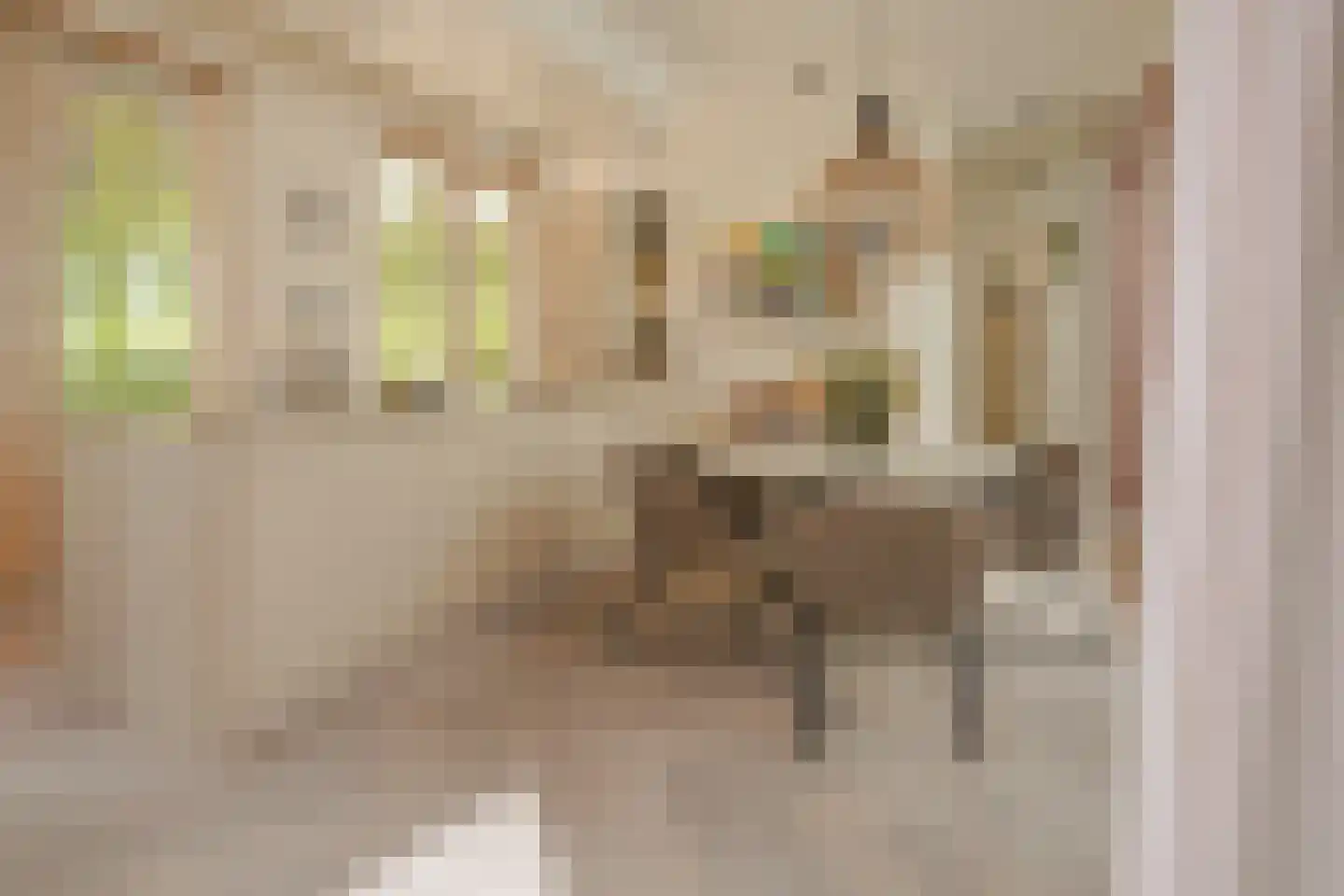 Herengracht 17 G Den Haag thumbnail 25