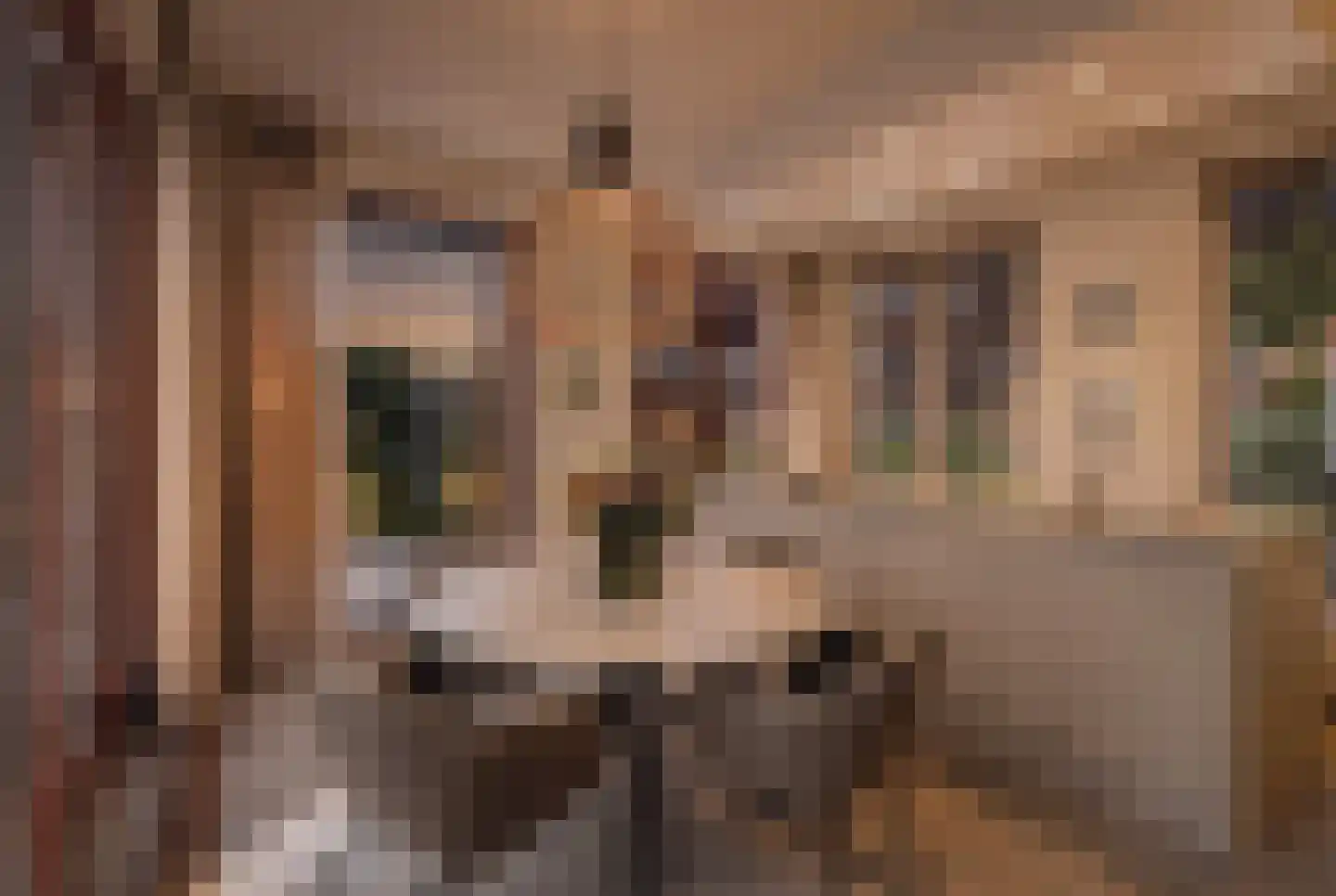 Herengracht 17 G Den Haag thumbnail 27