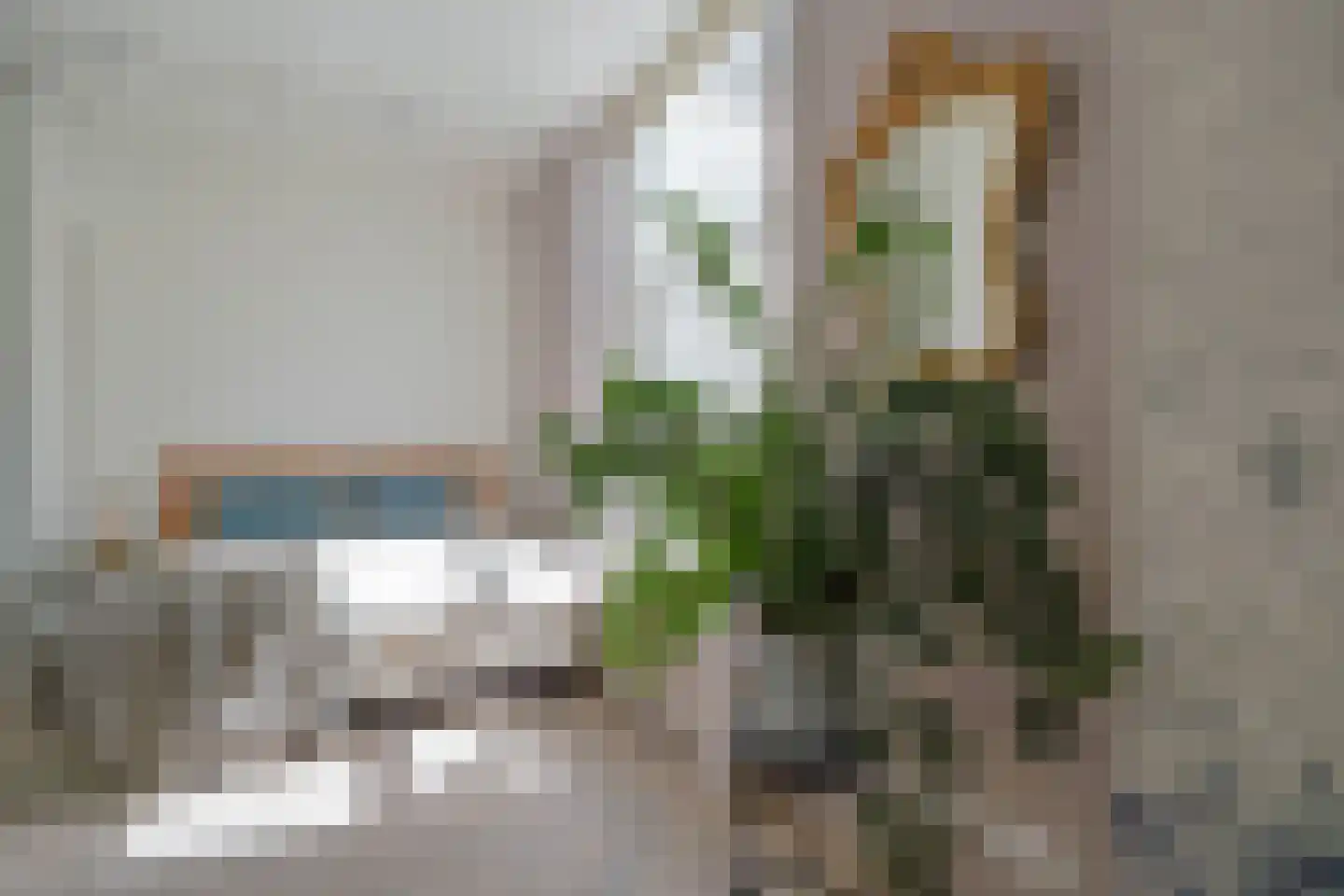 Herengracht 17 G Den Haag thumbnail 44