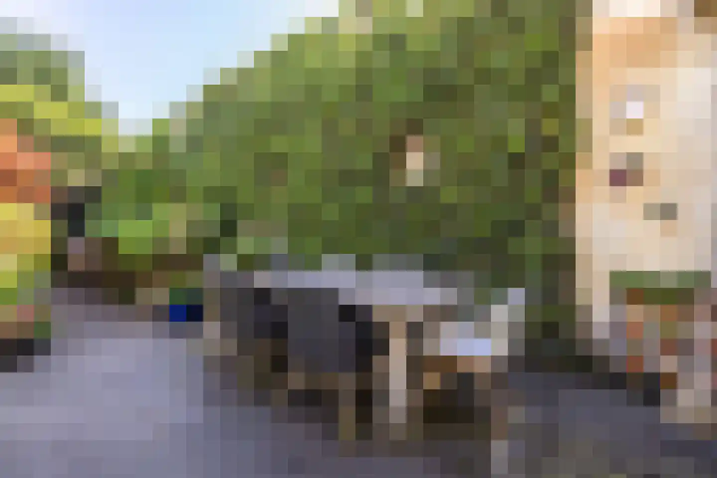 Herengracht 17 Leiden thumbnail 27