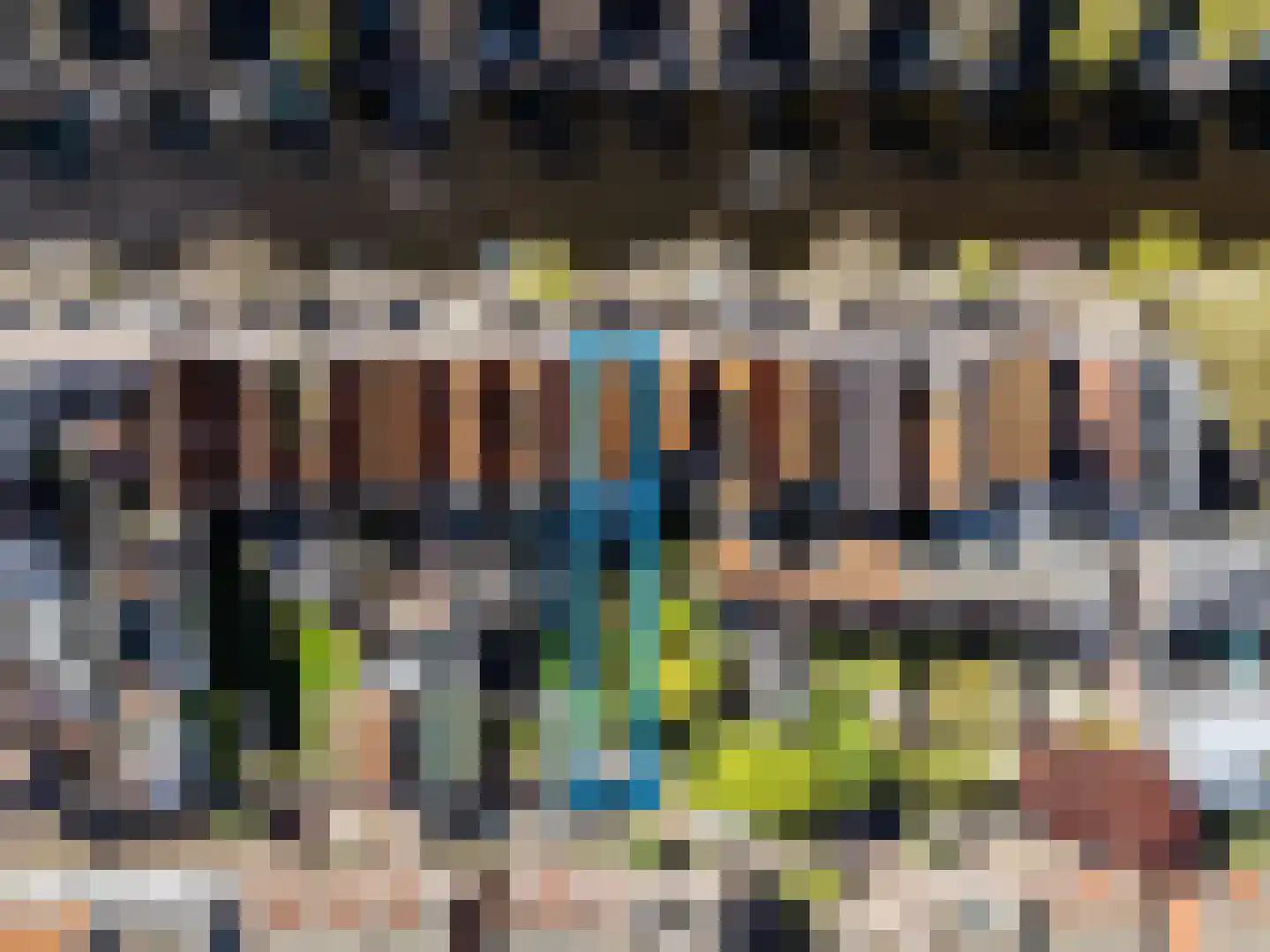 Herengracht 17 Leiden thumbnail 35