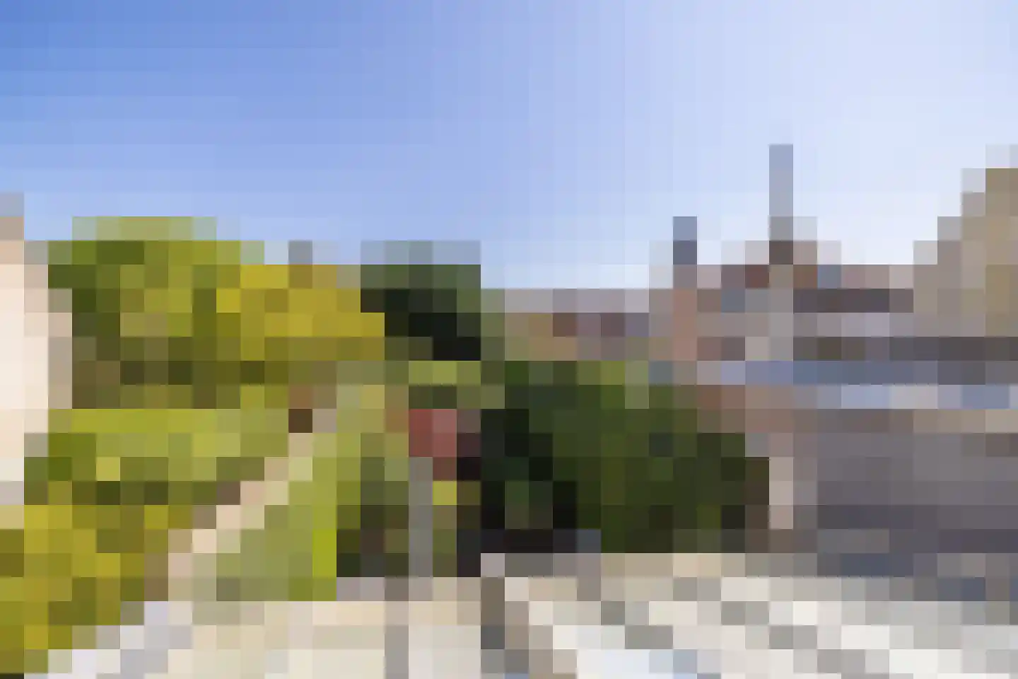 Herengracht 17 Leiden thumbnail 43