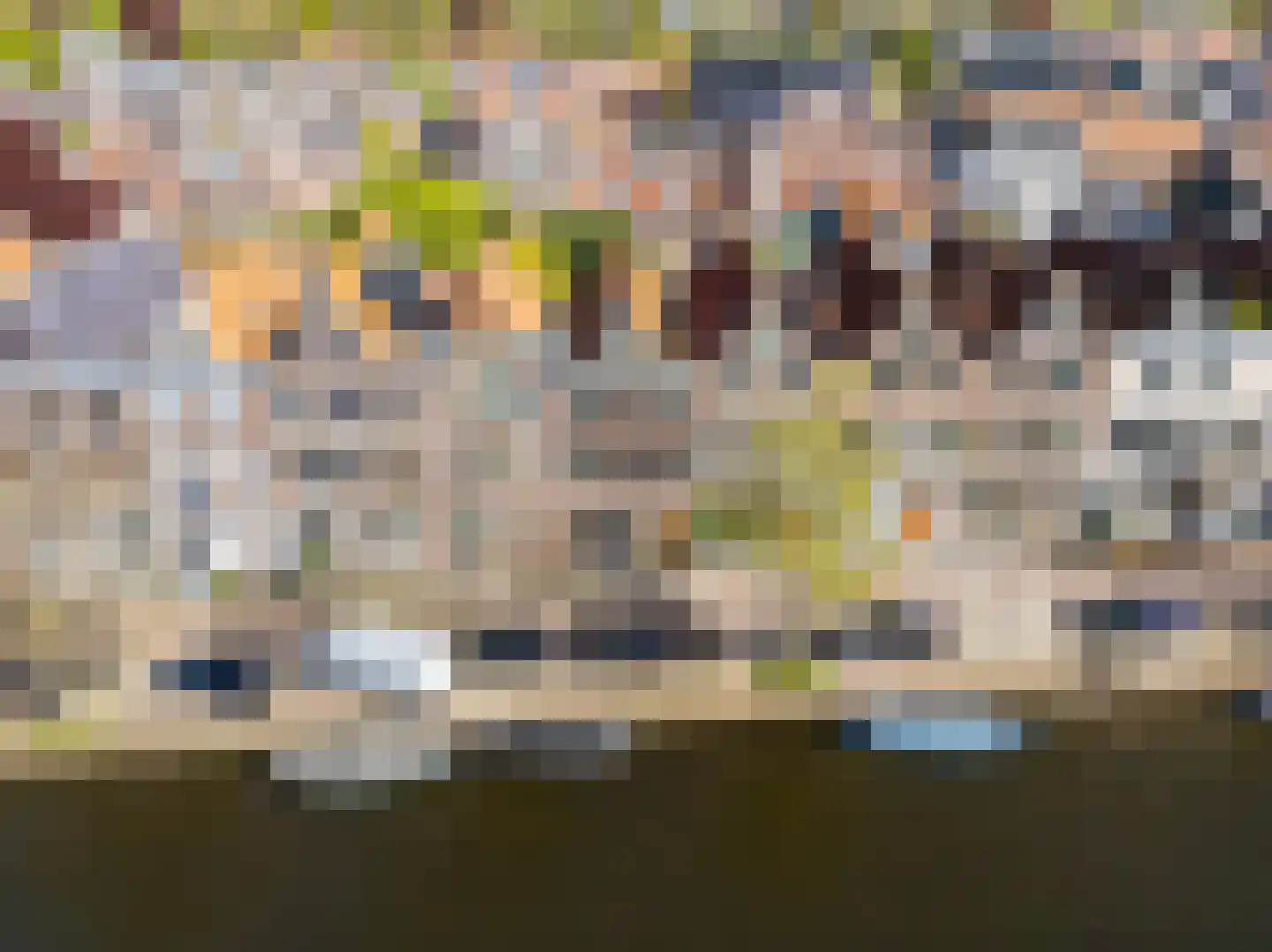 Herengracht 17 Leiden thumbnail 62