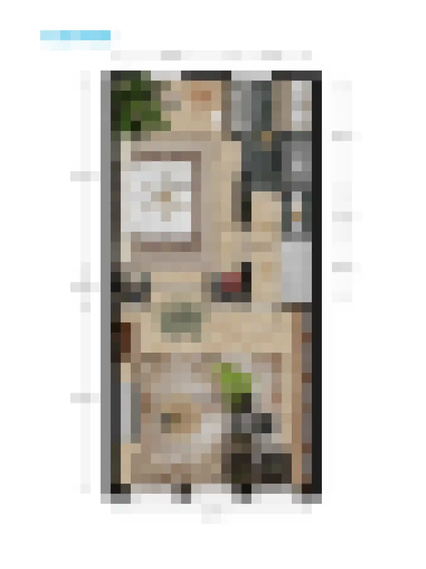 Herengracht 17 Leiden thumbnail 78