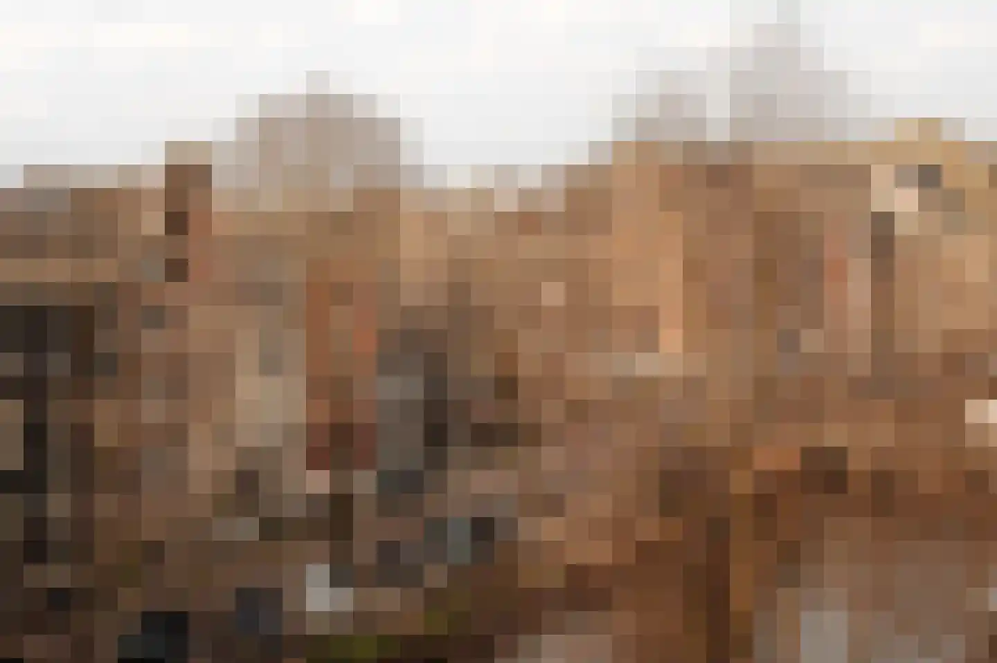 Herengracht 183 E Amsterdam thumbnail 13