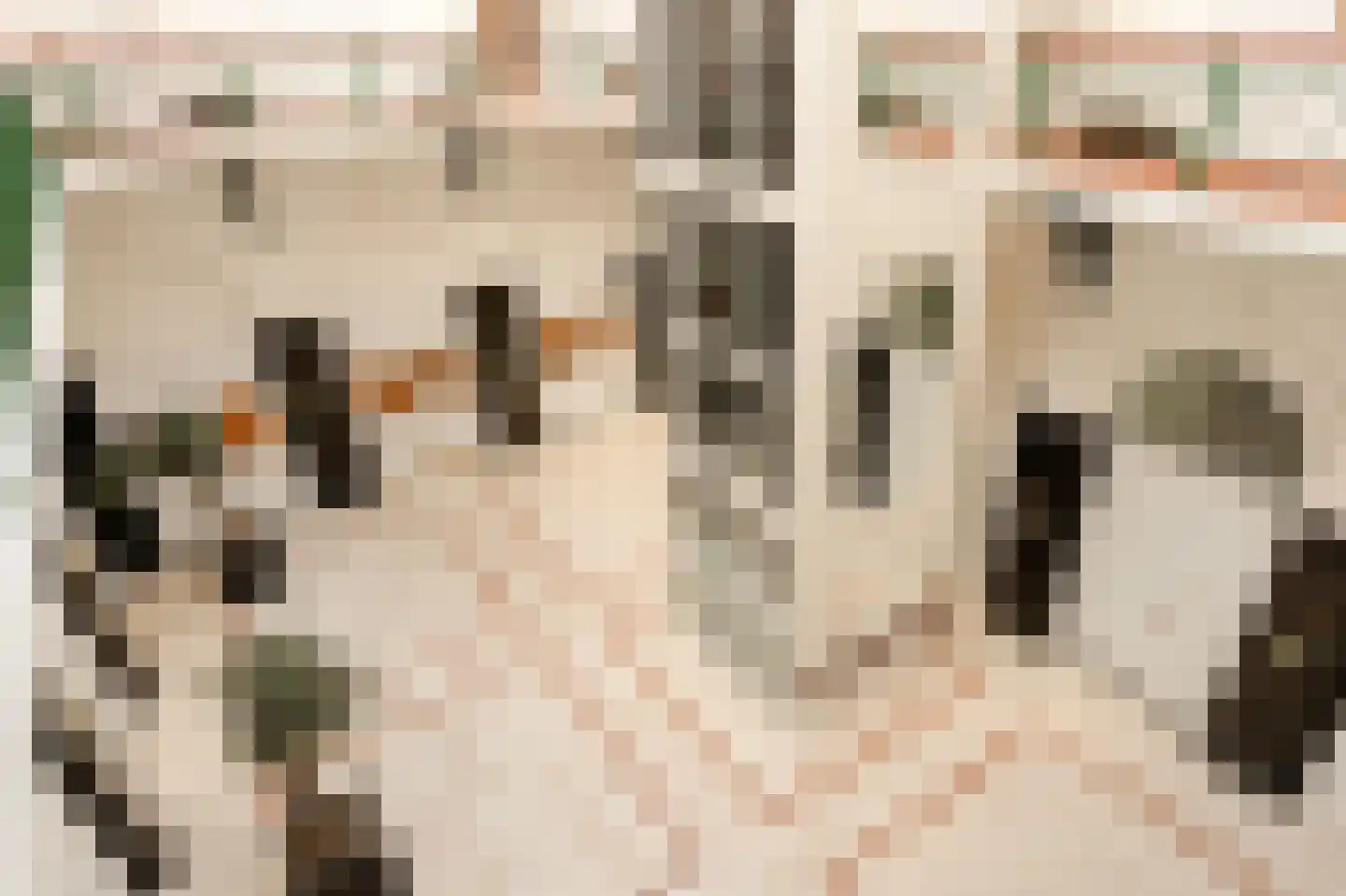 Herengracht 189 G Amsterdam thumbnail 14