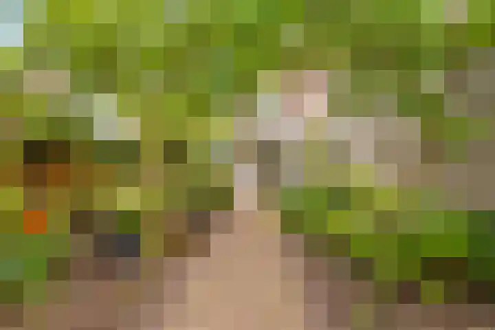 Herengracht 21 Weesp thumbnail 35