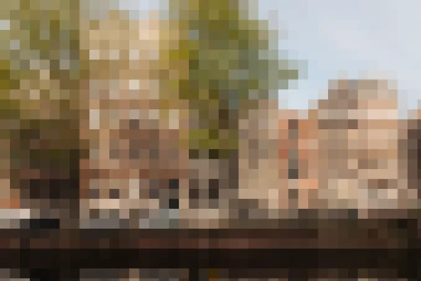 Herengracht 242 A Amsterdam thumbnail 7