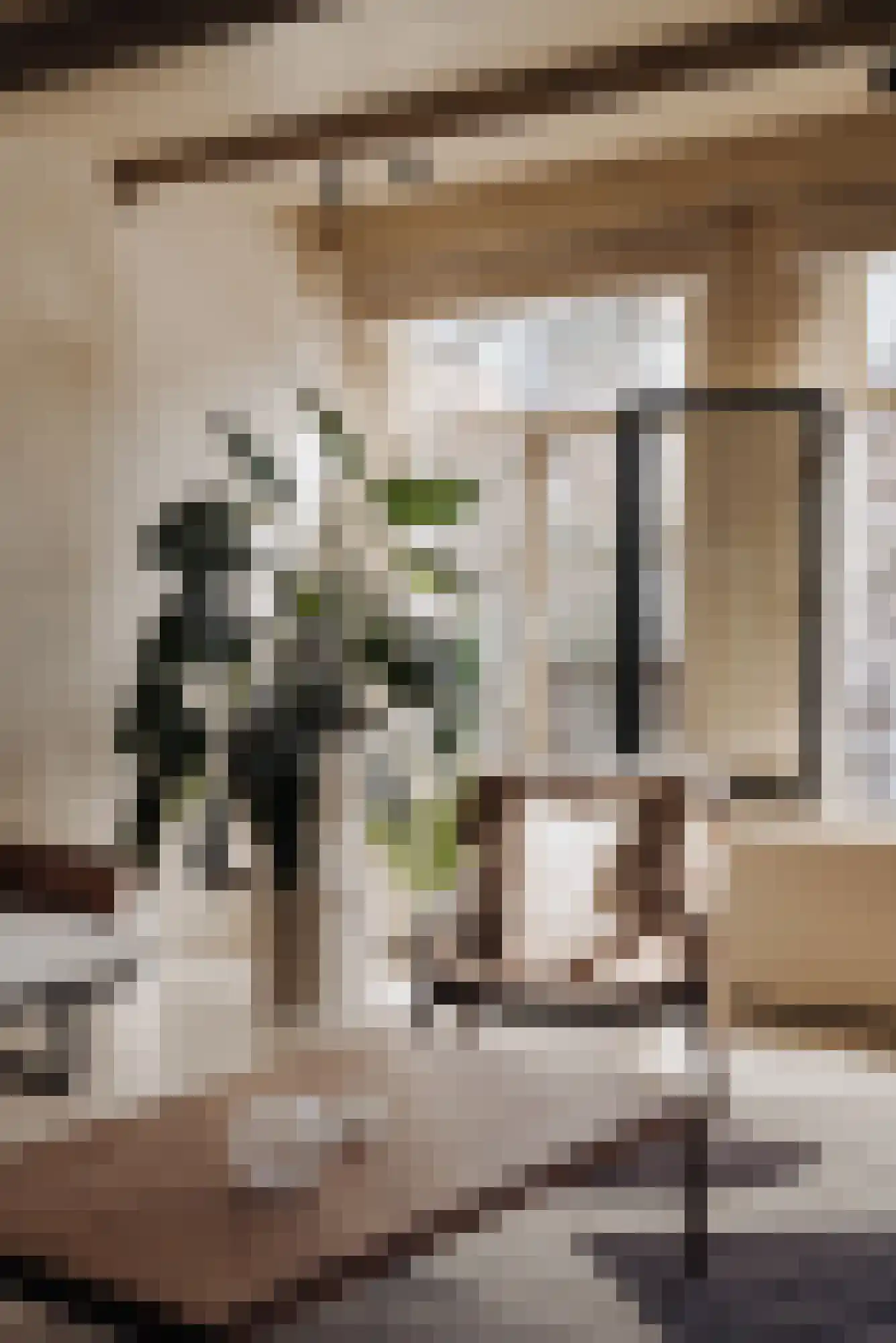 Herengracht 242 B Amsterdam thumbnail 5