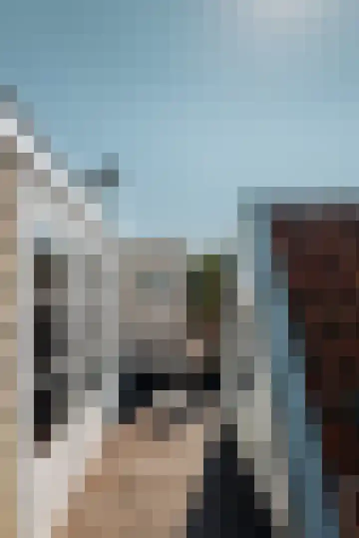 Herengracht 254 D Amsterdam thumbnail 29