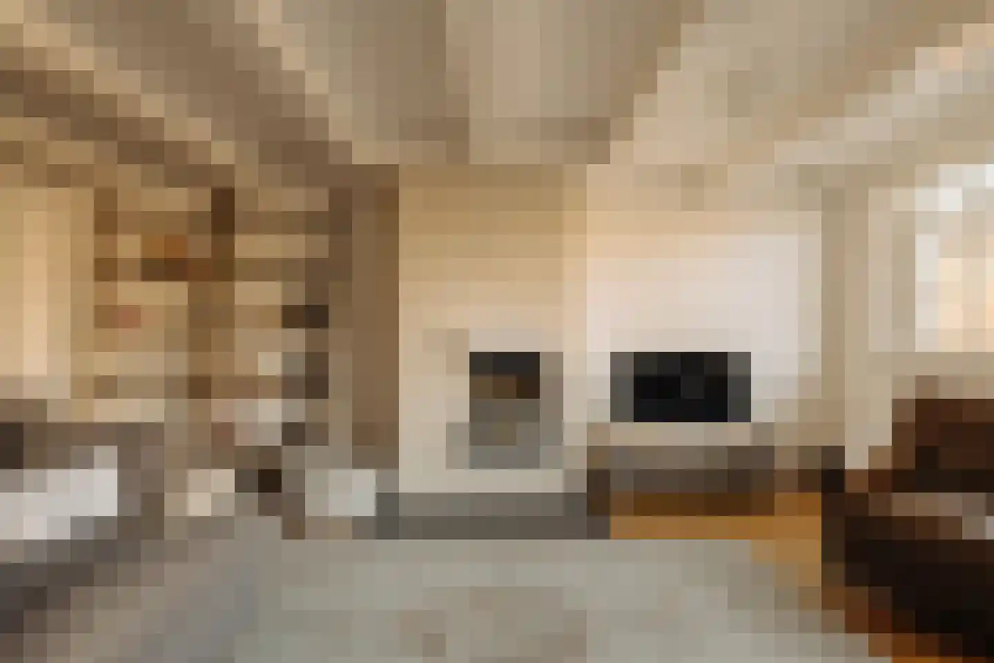 Herengracht 257 Amsterdam thumbnail 39
