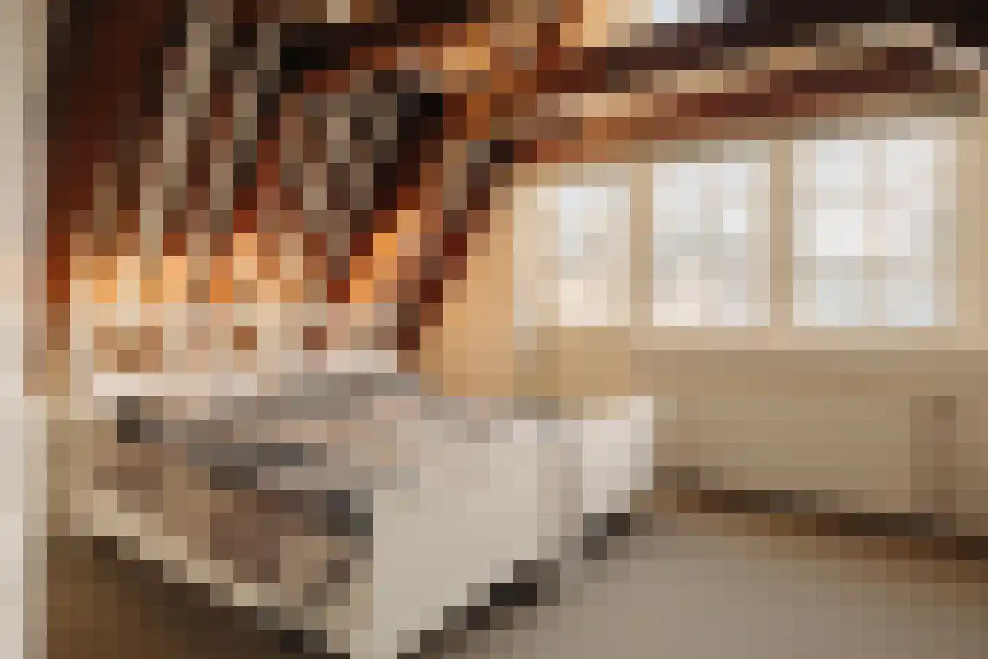 Herengracht 257 Amsterdam thumbnail 42