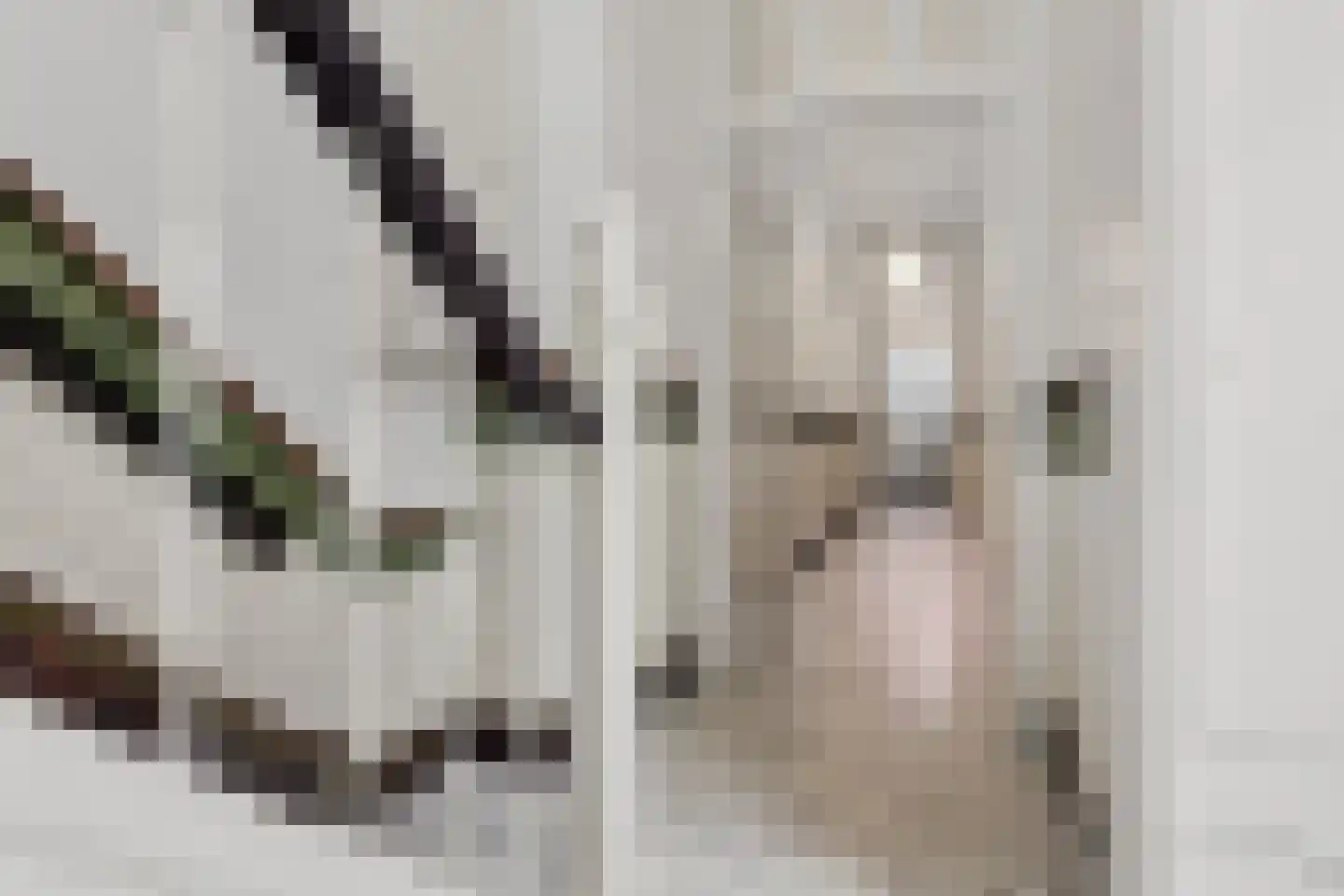 Herengracht 259 HL Amsterdam thumbnail 6