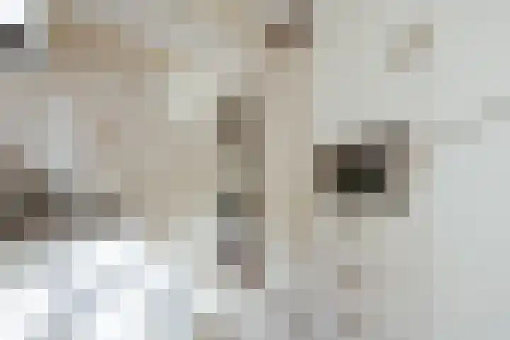 Herengracht 261 1 Amsterdam thumbnail 9