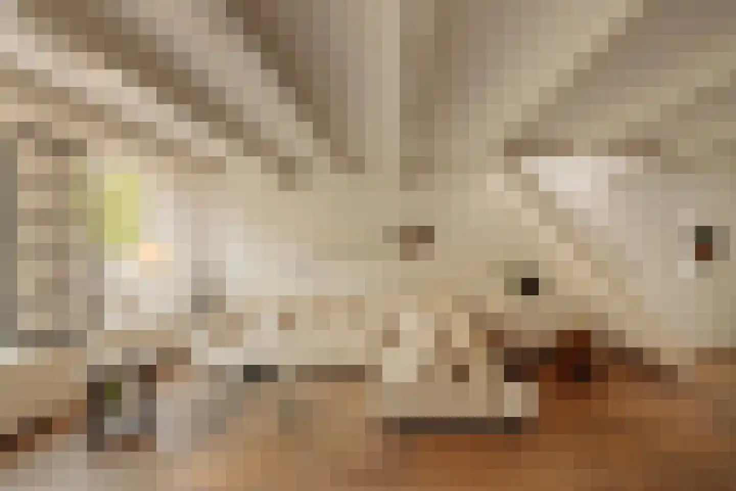 Herengracht 263 Amsterdam thumbnail 13