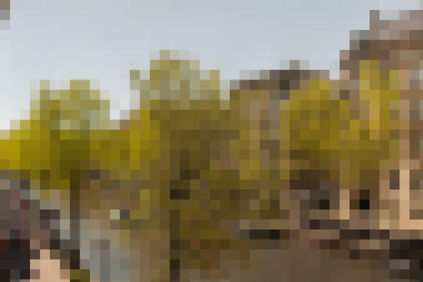 Herengracht 263 Amsterdam thumbnail 16
