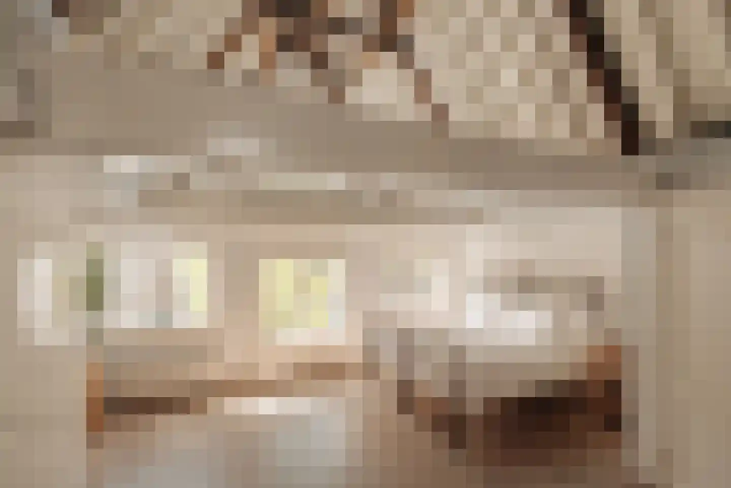 Herengracht 263 Amsterdam thumbnail 25