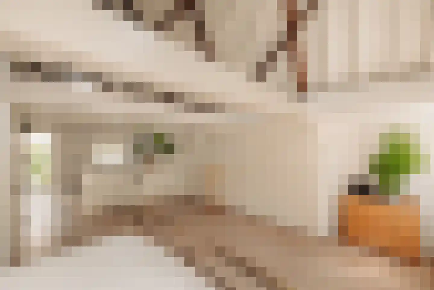 Herengracht 263 Amsterdam thumbnail 27