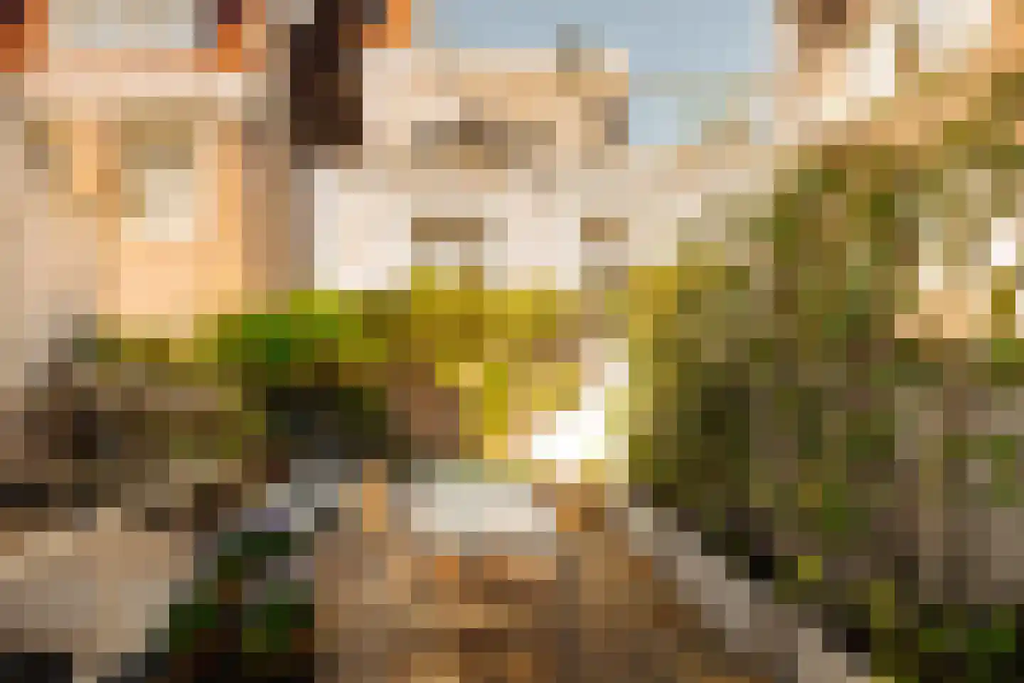 Herengracht 263 Amsterdam thumbnail 31