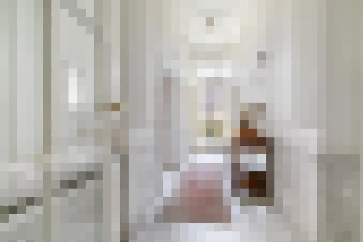 Herengracht 268 H Amsterdam thumbnail 16