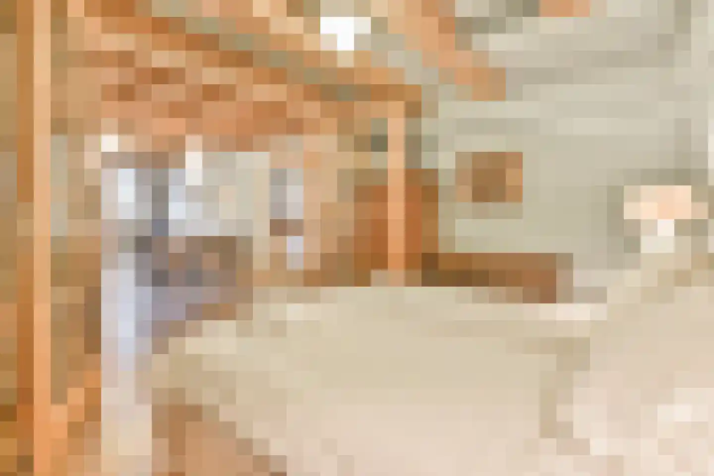Herengracht 268 H Amsterdam thumbnail 27