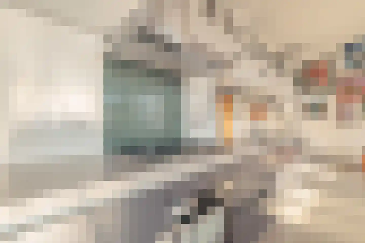Herengracht 270 N Amsterdam thumbnail 10