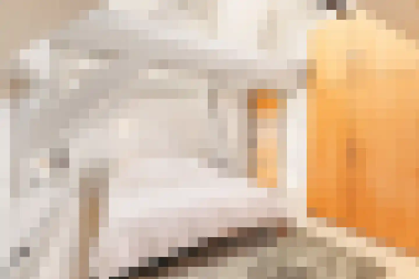 Herengracht 270 N Amsterdam thumbnail 14