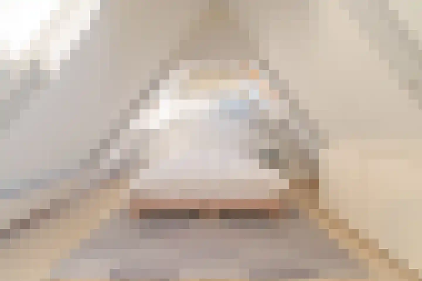 Herengracht 270 N Amsterdam thumbnail 22