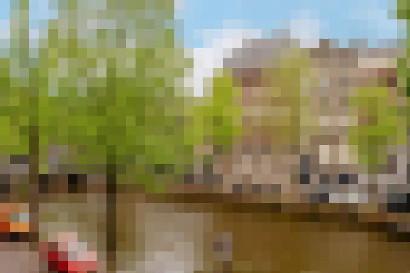 Herengracht 291 Amsterdam thumbnail 33