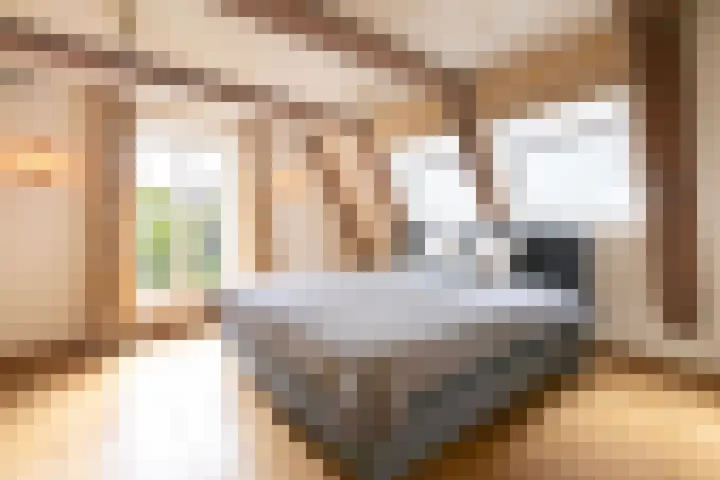 Herengracht 291 Amsterdam thumbnail 35