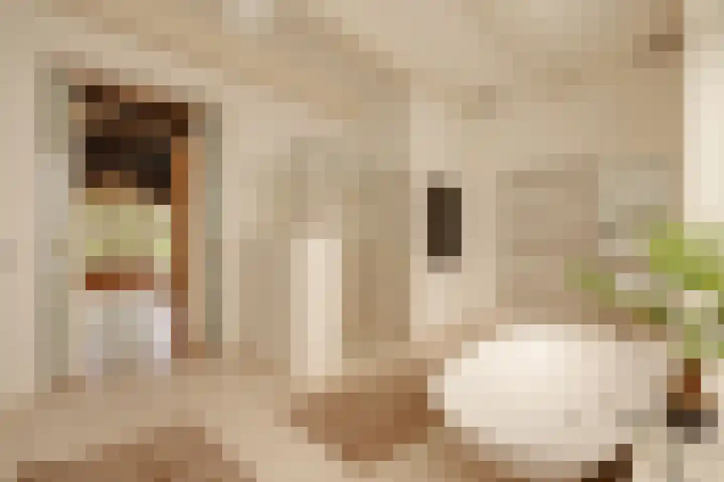 Herengracht 291 Amsterdam thumbnail 43